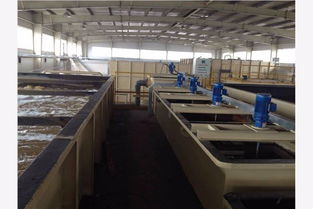 莆田阴离子聚丙烯酰胺絮凝沉淀效果卓越，专业技术服务保障